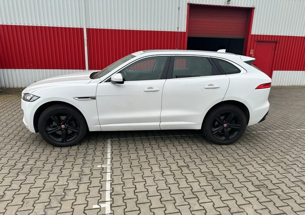 Jaguar F-Pace cena 90000 przebieg: 107000, rok produkcji 2016 z Bolesławiec małe 121